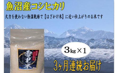 生産者直送！魚沼産コシヒカリ【雪里米 ふるさとまい】 精米 3kg 3ヶ月連続お届け お米 ライス ご飯 主食 新潟県産 産地直送 定期便 3回  2627607 - 新潟県魚沼市