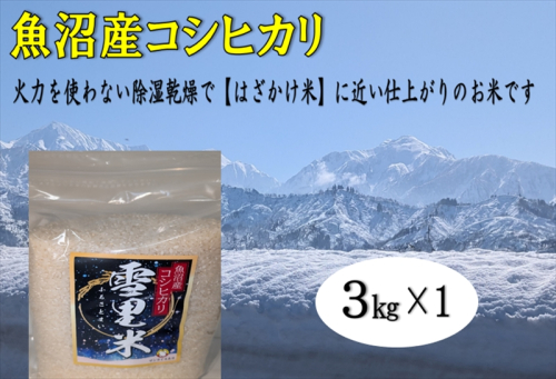【令和8年産 先行予約】生産者直送！魚沼産コシヒカリ 雪里米（ふるさとまい）精米 3kg お米 ライス ご飯 主食 新潟県産 産地直送  2627608 - 新潟県魚沼市