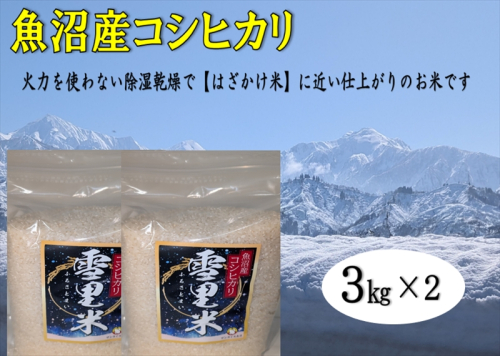 【令和8年産 先行予約】生産者直送！魚沼産コシヒカリ 雪里米（ふるさとまい）精米 6kg（3kg×2） お米 ライス ご飯 主食 新潟県産 産地直送  2627609 - 新潟県魚沼市