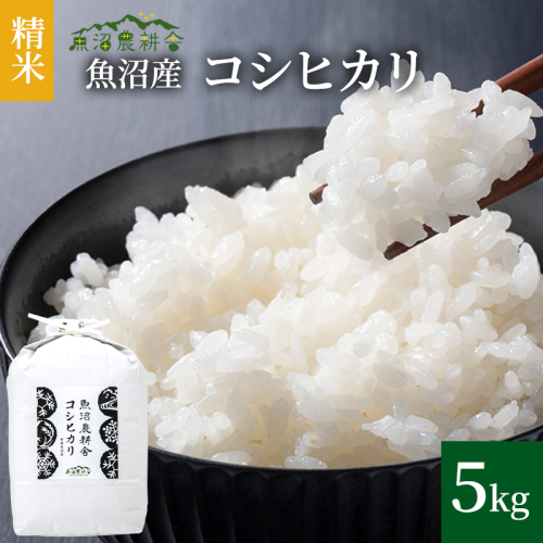 【令和8年産 新米先行受付】米農家自慢の 魚沼産 コシヒカリ （精米）5kg×1袋 お米 ライス ご飯 主食 新潟県産 産地直送 おにぎり お弁当  2627618 - 新潟県魚沼市