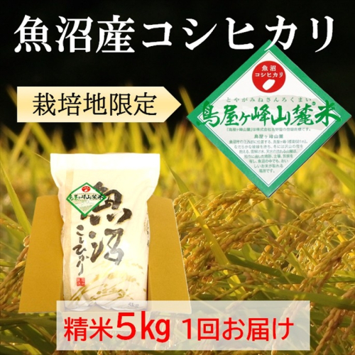 令和7年産 魚沼コシヒカリ 鳥屋ヶ峰山麓米（精米）5kg×1 お米  2627637 - 新潟県魚沼市