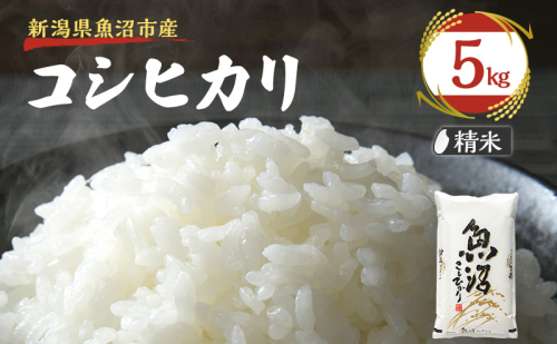 令和7年産【雪国逸品 精米5kg】越後魚沼郷 魚沼産コシヒカリ お米 人 自然調和 ミネラル 奇跡 自然環境 努カ 香り つや 粘り 極上 2627638 - 新潟県魚沼市