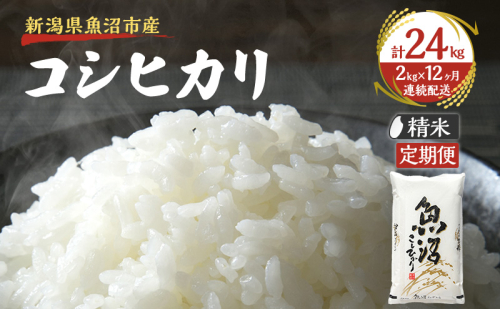 米 定期便 12ヶ月 雪国逸品 コシヒカリ 2kg 精米 白米 お米 魚沼産コシヒカリ 新潟米 新潟 魚沼市 定期 12回 2627643 - 新潟県魚沼市