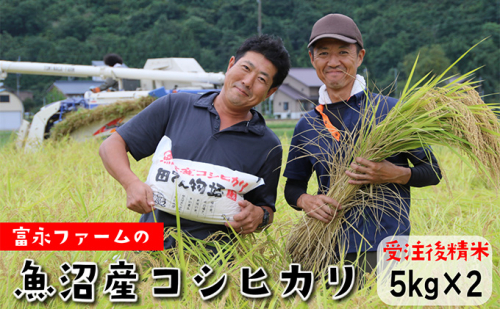 令和7年産 農家の手「田でん物語」魚沼産コシヒカリ（精米）10kg（5kg×2） お米 白米 ご飯 ブランド米 銘柄米 精米したて 新潟県産 直送 主食 炭水化物  2627660 - 新潟県魚沼市