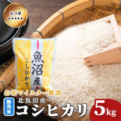 令和7年産 五つ星お米マイスター厳選 無洗米 魚沼産 コシヒカリ 5kg ご飯 白米 和食 ブランド米 銘柄米 おにぎり お弁当 産地直送 精米したて 2627698 - 新潟県魚沼市