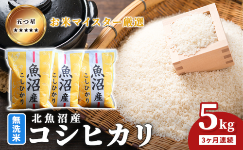 五つ星お米マイスター厳選 無洗米 魚沼産 コシヒカリ 5kg 3ヶ月連続 ご飯 白米 和食 ブランド米 銘柄米 おにぎり お弁当 産地直送 精米したて 2627700 - 新潟県魚沼市