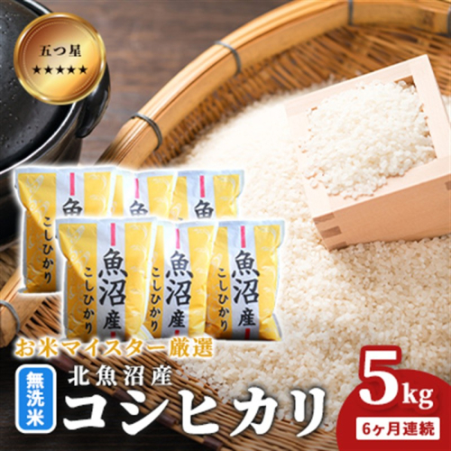 五つ星お米マイスター厳選 無洗米 魚沼産 コシヒカリ 5kg 6ヶ月連続 ご飯 白米 和食 ブランド米 銘柄米 おにぎり お弁当 産地直送 精米したて 2627701 - 新潟県魚沼市