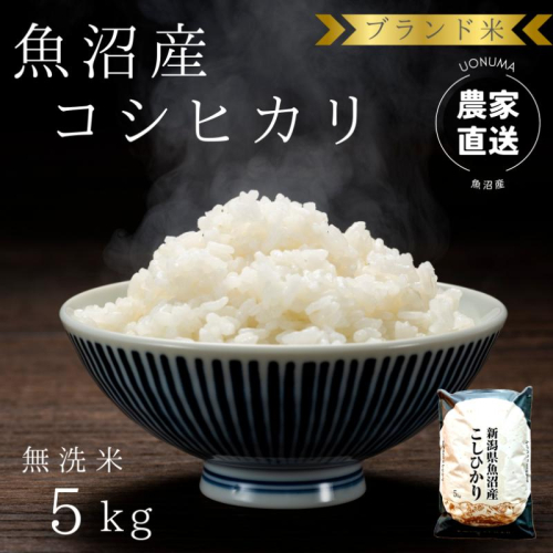 令和8年産 ブランド米 魚沼産コシヒカリ 無洗米 5kg お米 コシヒカリ100％ ミネラル  2627704 - 新潟県魚沼市