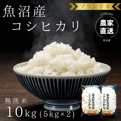 令和8年産 ブランド米 魚沼産コシヒカリ 無洗米 10kg（5kg×2袋） お米  2627705 - 新潟県魚沼市