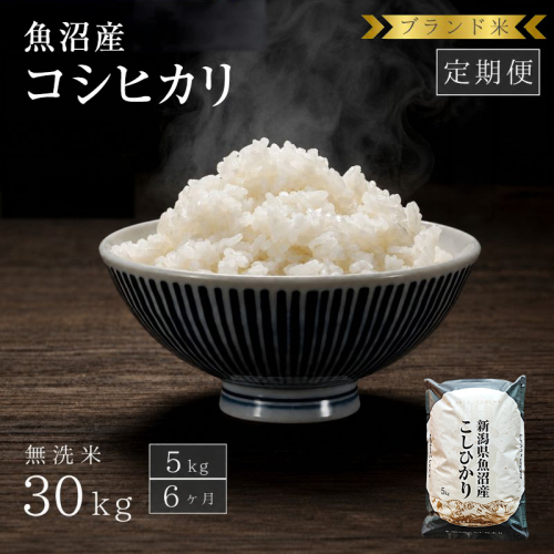 【定期便：無洗米5kg×6ヶ月】ブランド米 魚沼産コシヒカリ お米 6ヶ月連続お届け  2627707 - 新潟県魚沼市
