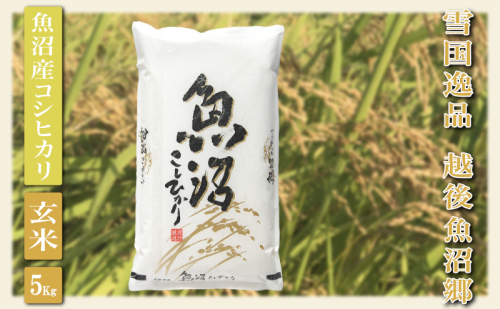 令和7年産【雪国逸品 玄米5Kg】越後魚沼郷 魚沼産コシヒカリ お米 ブランド米 銘柄米 ご飯 おにぎり お弁当 和食 産地直送 香り つや 粘り  2627712 - 新潟県魚沼市
