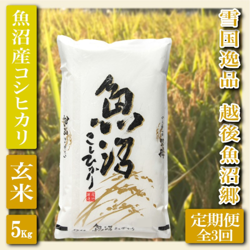 【定期便：雪国逸品 玄米5Kg×3ヶ月】越後魚沼郷 魚沼産コシヒカリ お米 ブランド米 銘柄米 ご飯 おにぎり お弁当 和食 産地直送 香り つや 粘り  2627716 - 新潟県魚沼市