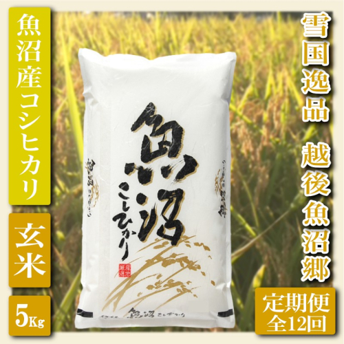 【定期便：雪国逸品 玄米5Kg×12ヶ月】越後魚沼郷 魚沼産コシヒカリ お米 ブランド米 銘柄米 ご飯 おにぎり お弁当 和食 産地直送 香り つや 粘り  2627718 - 新潟県魚沼市