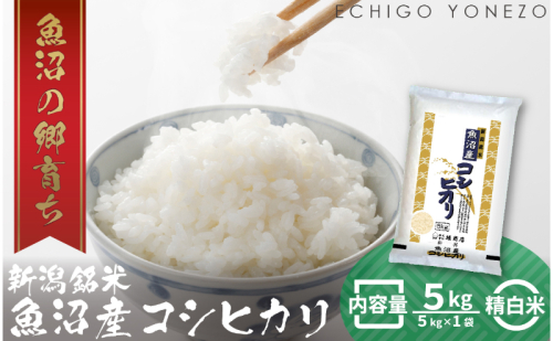 令和7年産 魚沼産コシヒカリ（精米）5kg お米 白米 ご飯 ブランド米 銘柄米 おにぎり お弁当 和食 産地直送 粘り モチっと食感 上品な甘み  2627724 - 新潟県魚沼市