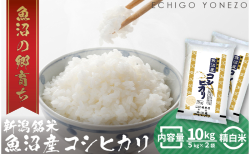 令和7年産 魚沼産コシヒカリ（精米）10kg お米 白米 ご飯 ブランド米 銘柄米 おにぎり お弁当 和食 産地直送 粘り モチっと食感 上品な甘み  2627725 - 新潟県魚沼市