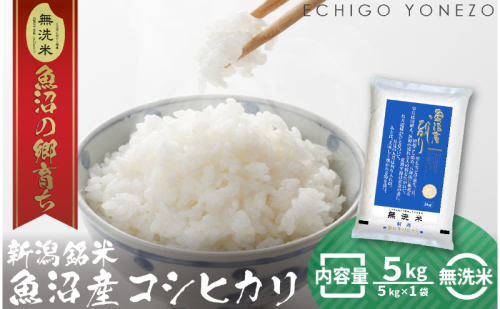 令和7年産 魚沼産コシヒカリ（無洗米）5kg お米 白米 ご飯 ブランド米 銘柄米 おにぎり お弁当 和食 産地直送 粘り モチっと食感 上品な甘み  2627726 - 新潟県魚沼市