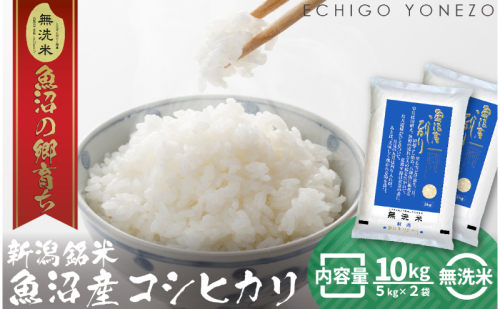 令和7年産 魚沼産コシヒカリ（無洗米）10kg お米 白米 ご飯 ブランド米 銘柄米 おにぎり お弁当 和食 産地直送 粘り モチっと食感 上品な甘み  2627727 - 新潟県魚沼市