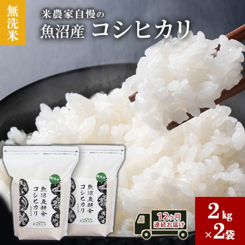 無洗米 米農家自慢の 魚沼産 コシヒカリ2kg×2袋 12ヶ月連続お届け 米 お米 こめ こしひかり 白米 無洗 定期便 定期 隔月 新潟県 魚沼市 魚沼 2627759 - 新潟県魚沼市