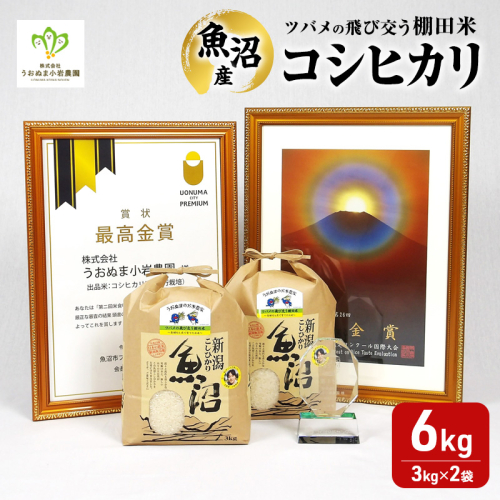 【令和8年産　新米先行受付】ツバメの飛び交う棚田米 精米6kg（3kg×2袋） 米 こめ お米 コメ こしひかり コシヒカリ 精米 新潟県 魚沼市 魚沼 2627768 - 新潟県魚沼市