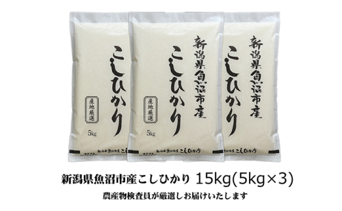 【令和8年産 新米先行受付】農産物検査員お奨め 魚沼産こしひかり（精米）15kg（5kg×3）米 コメ こめ お米 おこめ 白米 コシヒカリ 新潟県産 人気 お取り寄せ 2627770 - 新潟県魚沼市