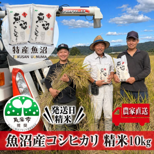 【令和8年産 先行予約】農家直送！ 魚沼産 コシヒカリ 精米 10kg （ 5kg × 2 ）（ 米 こしひかり お米 こめ コメ おこめ 白米 魚沼 魚沼産コシヒカリ 魚沼産こしひかり 新潟 ） 2627774 - 新潟県魚沼市