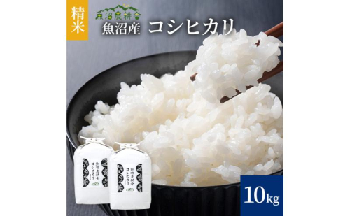 【令和8年産　新米先行受付】米農家自慢の 魚沼産 コシヒカリ（精米）10kg（5kg×2袋）白米 お米 こめ コメ 魚沼産コシヒカリ こしひかり 魚沼 2627789 - 新潟県魚沼市