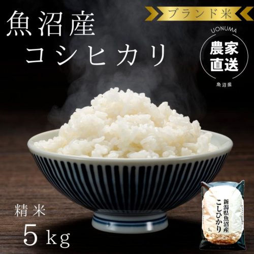 令和8年産 ブランド米 魚沼産コシヒカリ 精米 5kg 米 コメ こめ お米 おこめ 白米 こしひかり 新潟県産 人気 お取り寄せ 2627797 - 新潟県魚沼市