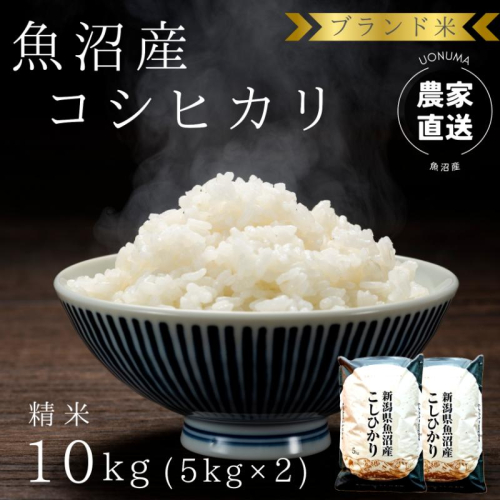 令和8年産 ブランド米 魚沼産コシヒカリ 精米 10kg（5kg×2袋） 米 コメ こめ お米 おこめ 白米 こしひかり 新潟県産 人気 お取り寄せ 2627798 - 新潟県魚沼市