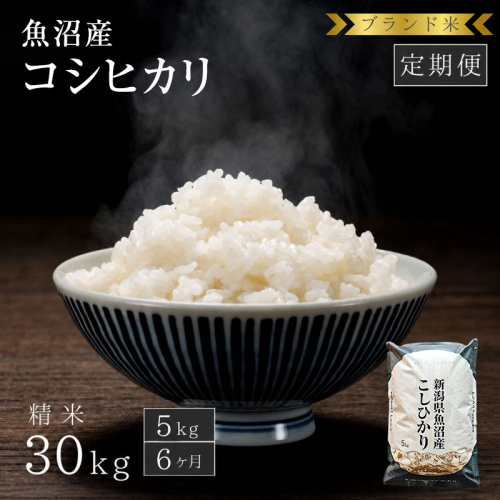 【定期便：精米5kg×6ヶ月】ブランド米 魚沼産コシヒカリ 米 コメ こめ お米 おこめ 白米 こしひかり 新潟県産 人気 お取り寄せ 2627800 - 新潟県魚沼市