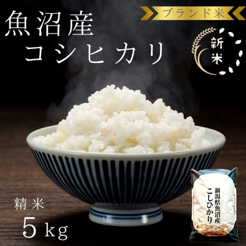 【令和8年産 先行予約】ブランド米 魚沼産コシヒカリ 精米 5kg 米 コメ こめ お米 おこめ 白米 こしひかり 新潟県産 人気 お取り寄せ 2627802 - 新潟県魚沼市