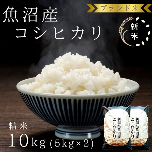 【令和8年産 先行予約】ブランド米 魚沼産コシヒカリ 精米 10kg（5kg×2袋） 米 コメ こめ お米 おこめ 白米 こしひかり 新潟県産 人気 お取り寄せ 2627803 - 新潟県魚沼市