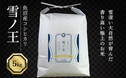 令和7年産 魚沼産コシヒカリ 雪ノ王 精米 5kg 米 お米 精米 こしひかり 魚沼 新潟 2627806 - 新潟県魚沼市
