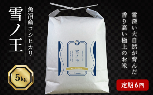 6か月定期便 魚沼産コシヒカリ 雪ノ王 精米5kg×6回 お米 精米 こしひかり 定期 魚沼 新潟 2627808 - 新潟県魚沼市