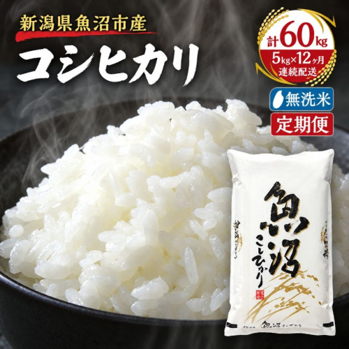 無洗米 定期便 12ヶ月 雪国逸品 コシヒカリ 5kg 米 白米 お米 魚沼産コシヒカリ 新潟米 新潟 魚沼市 定期 12回 2627841 - 新潟県魚沼市