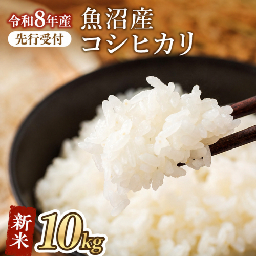 【令和8年産 新米先行受付】魚沼産コシヒカリ 特別栽培米 （精米）10kg　米 お米 こめ こしひかり 白米 新潟県 魚沼市 魚沼 2627850 - 新潟県魚沼市