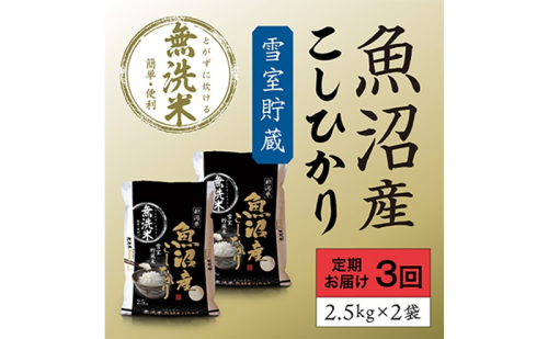 雪室貯蔵 魚沼産 コシヒカリ 無洗米5kg 3ヶ月連続お届け 米 定期便 こしひかり 定期 新潟 魚沼 魚沼産コシヒカリ 魚沼産こしひかり お楽しみ  新潟県 2627853 - 新潟県魚沼市
