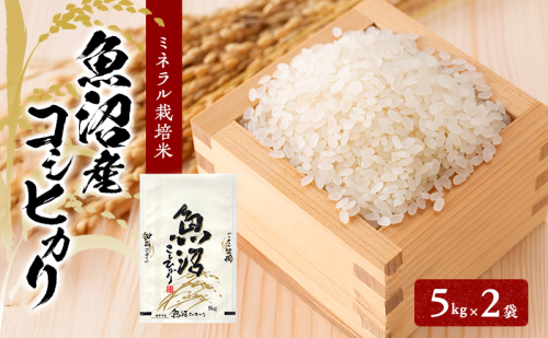 [令和7年産]魚沼産コシヒカリ ミネラル栽培米（精米）10kg（5kg×2） 2627863 - 新潟県魚沼市