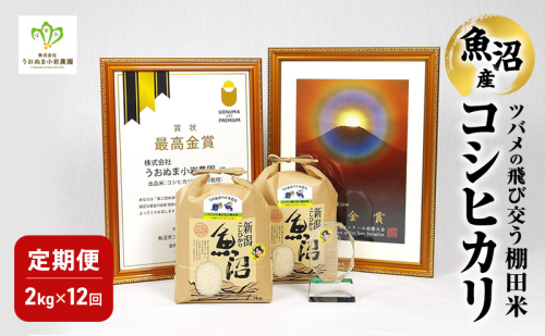 精米 ツバメの飛び交う棚田米 2kg×1袋 12ヵ月連続お届け　米 こめ お米 コメ こしひかり コシヒカリ 精米 新潟県 魚沼市 魚沼 2627878 - 新潟県魚沼市