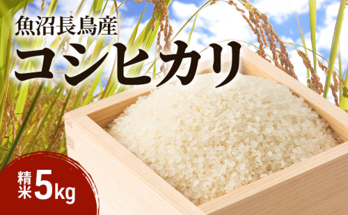 【雪解け水で育てた】魚沼すもん長鳥産こしひかり  （5kg） 1袋 米 コメ こしひかり 精米 ブランド米 お取り寄せ 魚沼市 2627883 - 新潟県魚沼市