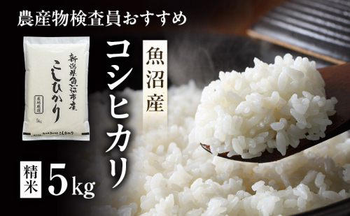 令和7年産 農産物検査員お奨め 魚沼産こしひかり（精米）5kg お米 コシヒカリ 2627884 - 新潟県魚沼市