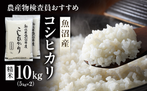 令和7年産 農産物検査員お奨め 魚沼産こしひかり（精米）10kg（5kg×2） お米 コシヒカリ 2627885 - 新潟県魚沼市