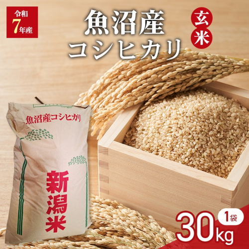 令和7年産　玄米　魚沼産コシヒカリ　30kg　1袋 2627886 - 新潟県魚沼市