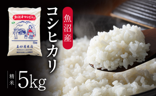 令和7年産 真砂屋厳選 魚沼産コシヒカリ（精米）5kg お米 コメ こしひかり 新潟県 魚沼市 魚沼 2627888 - 新潟県魚沼市