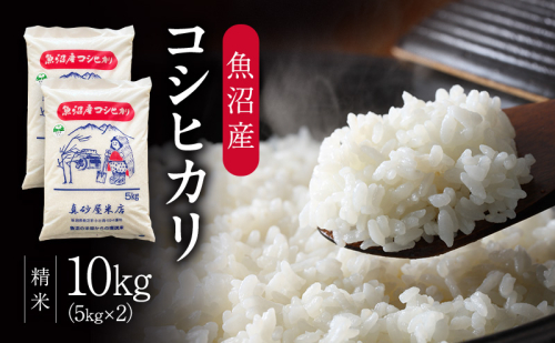 令和7年産 真砂屋厳選 魚沼産コシヒカリ（精米）10kg お米 コメ こしひかり 新潟県 魚沼市 魚沼 2627889 - 新潟県魚沼市