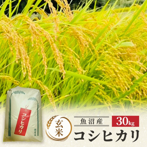 【令和8年産】魚沼産コシヒカリ 特別栽培米 (玄米) 30kg 米 コメ こしひかり ブランド米 お取り寄せ 魚沼市 2627890 - 新潟県魚沼市