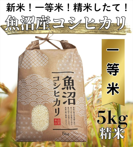 【令和７年度産】魚沼産コシヒカリ 精米 5kg 一等米 100％単一原料米 お米 コメ こしひかり 新潟県 魚沼市 魚沼 2627892 - 新潟県魚沼市