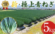 【12月~3月・7月のみ発送】青ねぎ 5kg ネギ 葱 極上 薬味 国産 野菜 うどん ギョーザ 餃子 チャーハン 焼きネギ 徳島 阿波市 新･極上青ねぎ 通常発送 旬 ネギ
