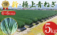 【4月から6月末まで発送】青ねぎ 5kg ネギ 葱 極上 薬味 国産 野菜 うどん ギョーザ 餃子 チャーハン 焼きネギ 徳島 阿波市 新･極上青ねぎ 通常発送 旬 ネギ 訳あり
