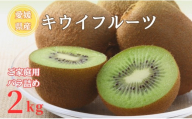 【2026年先行予約】キウイ バラ詰め 2kg  ご家庭用 農園直送 先行予約 【10月中旬から順次発送予定】 キウイフルーツ 愛媛 数量限定  伊予市｜A126