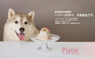 [ペットフード] ハート型のケーキ★プリンセス Plaisir −プレジール−[Kitchen Dog!]